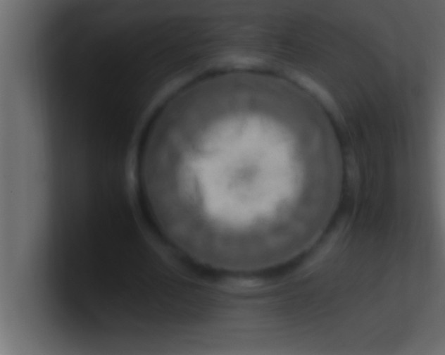 X0000100760582200807031151