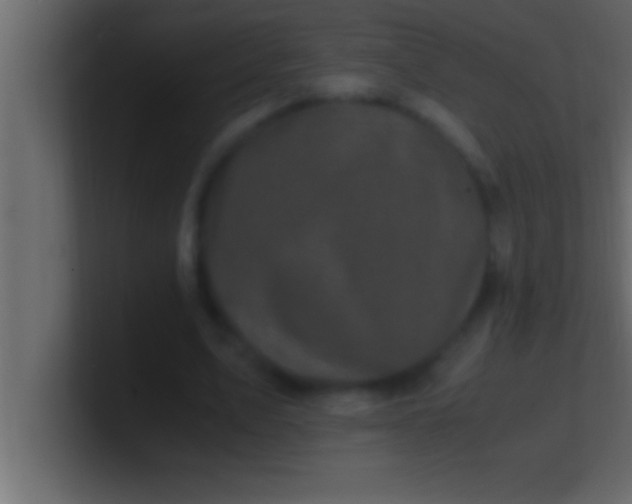 X0000100760583200807031151