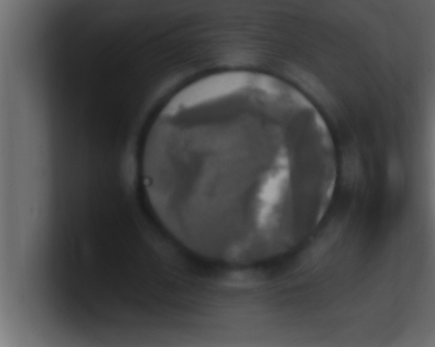 X0000100760584200807031151