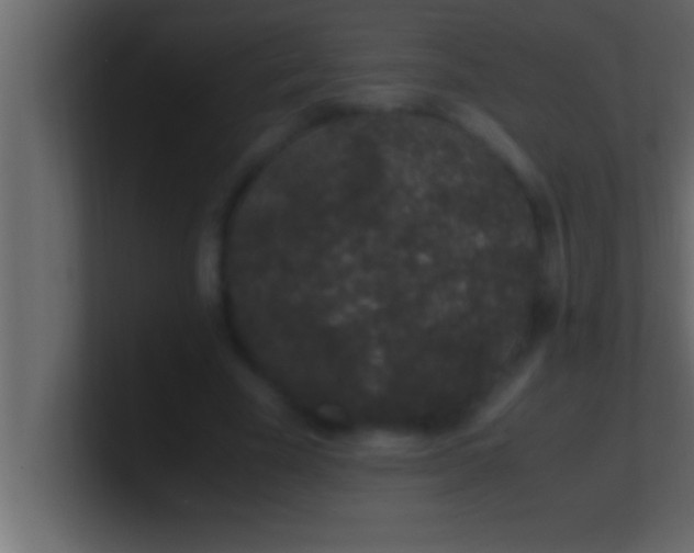 X0000100760585200807031151