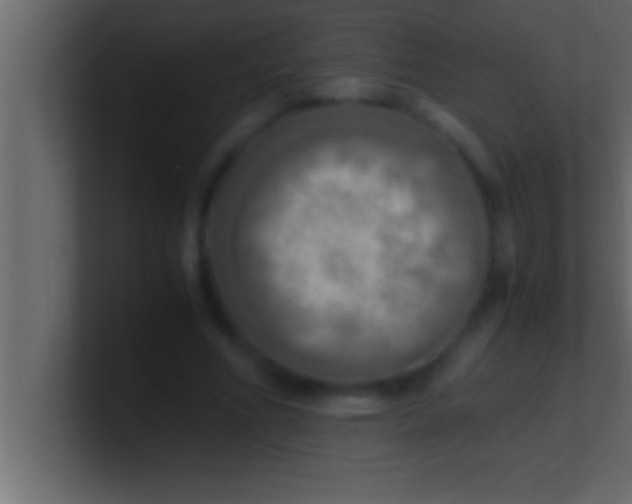 X0000100760586200807031151