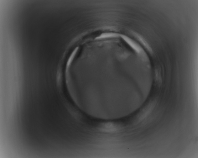 X0000100760588200807031151