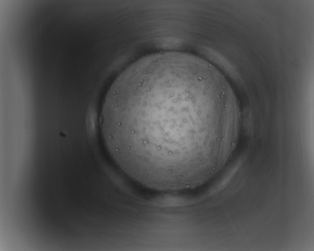 X0000100760589200807031151