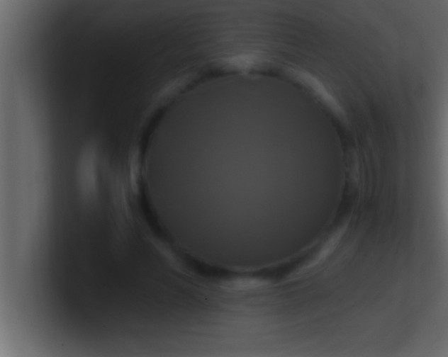 X0000100760590200807031151