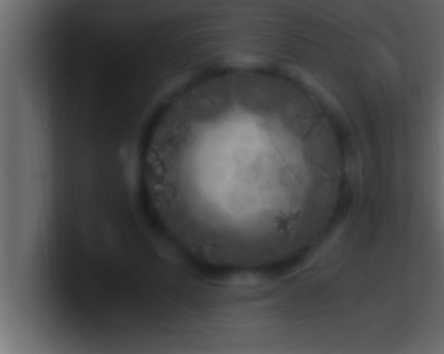 X0000100760591200807031151