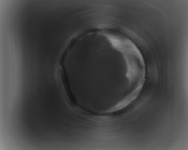 X0000100760592200807031151