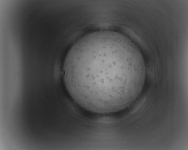 X0000100760593200807031151