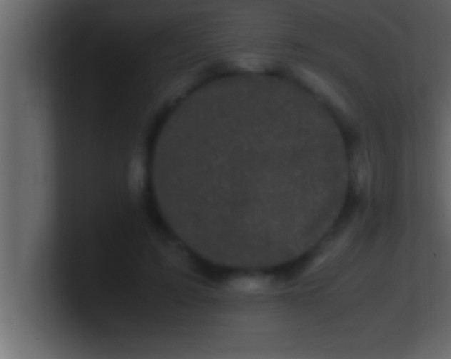 X0000100760595200807031151