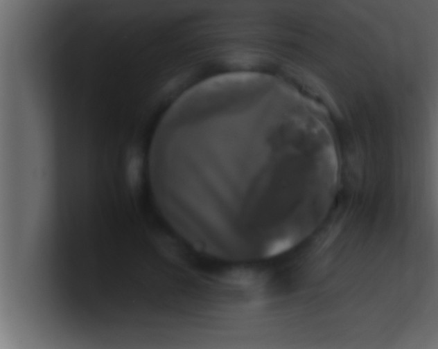 X0000100760596200807031151