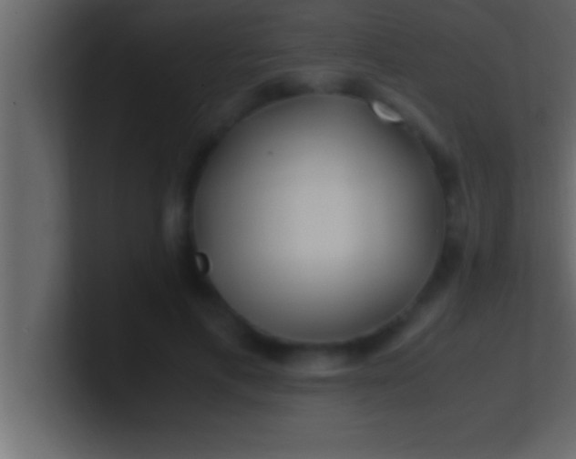 X0000100760597200807031151