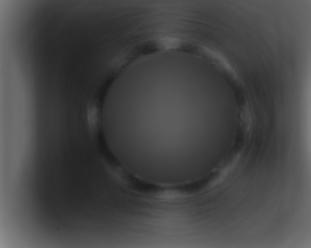 X0000100760598200807031151