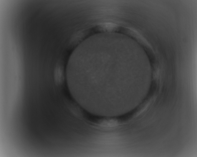 X0000100760599200807031151