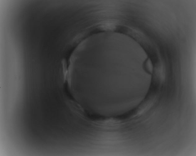 X0000100760600200807031151