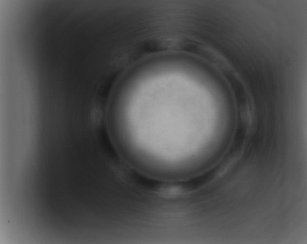 X0000100760602200807031151