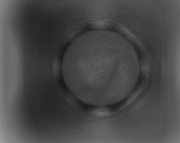 X0000100760603200807031151