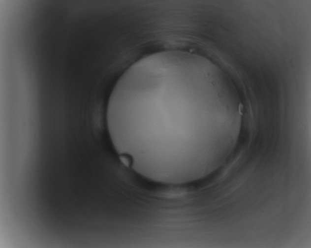 X0000100760604200807031151