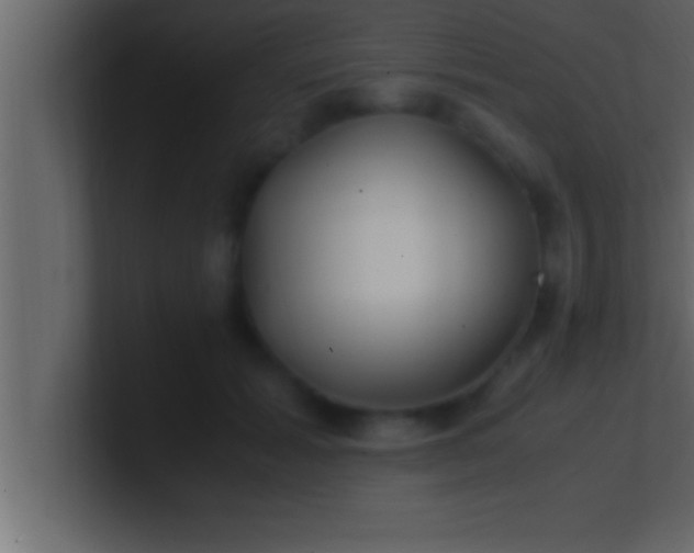 X0000100760605200807031151