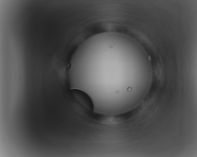 X0000100760611200807031151