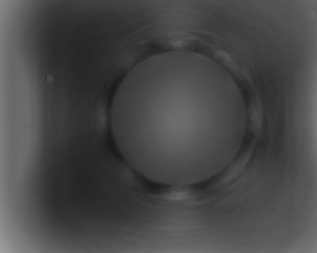 X0000100760612200807031151