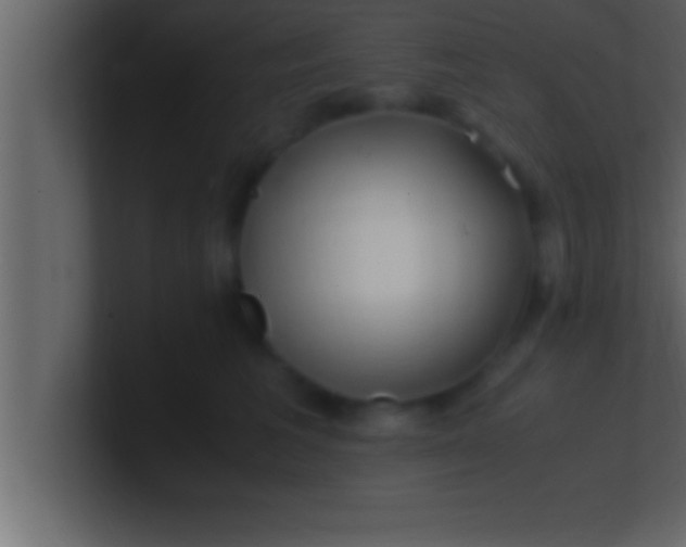 X0000100760613200807031151