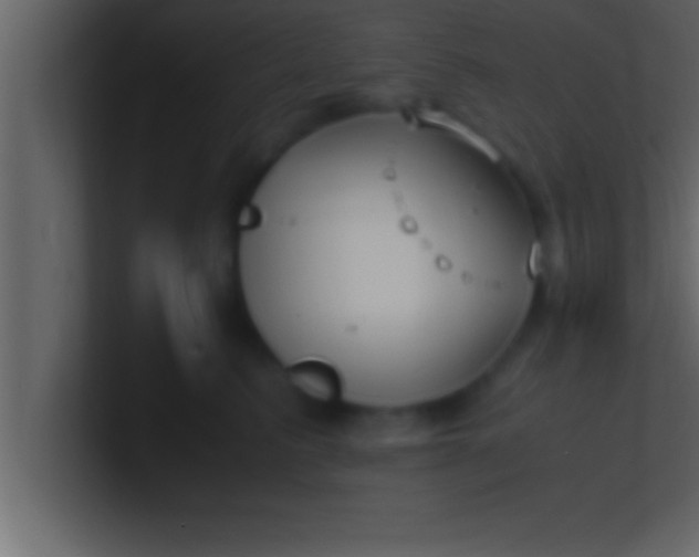 X0000100760615200807031151