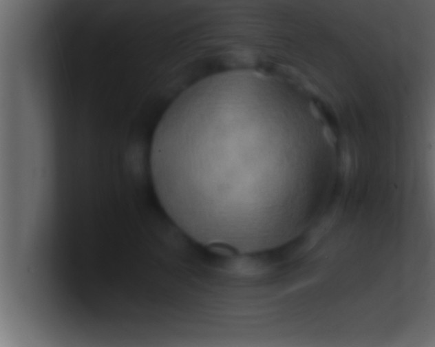 X0000100760616200807031151