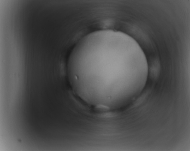 X0000100760620200807031151