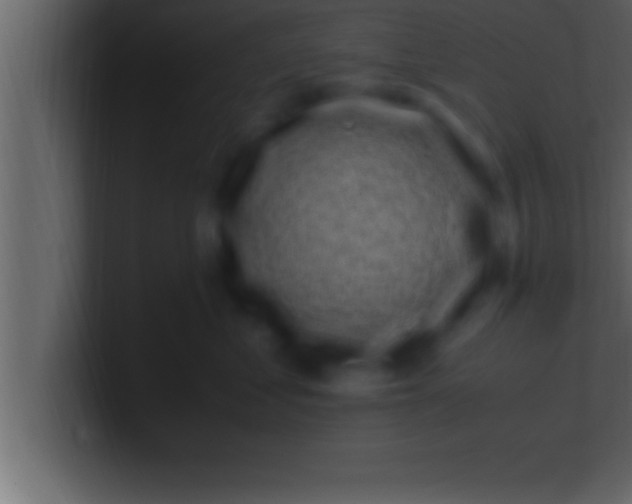 X0000100760621200807031151