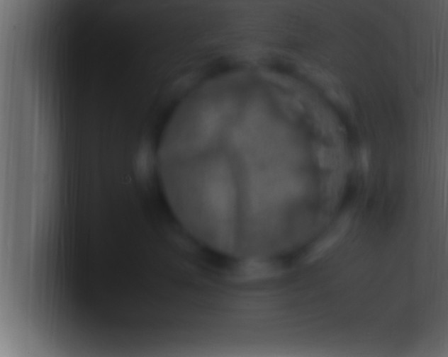 X0000100760623200807031151