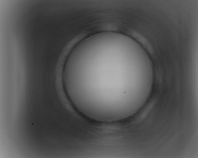 X0000100760625200807031150