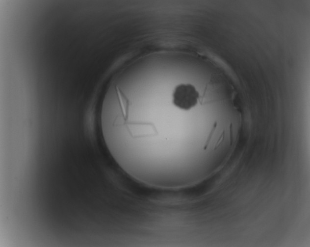 X0000100760626200807031150