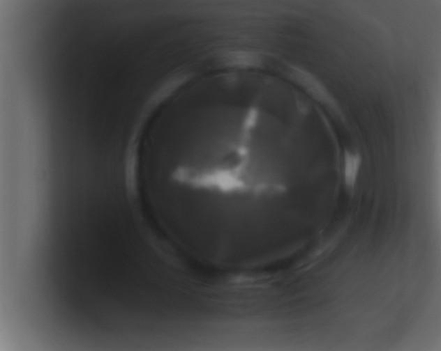 X0000100760627200807031150