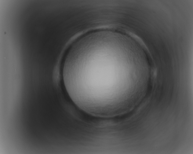 X0000100760628200807031150