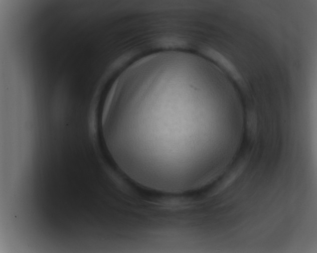 X0000100760629200807031150