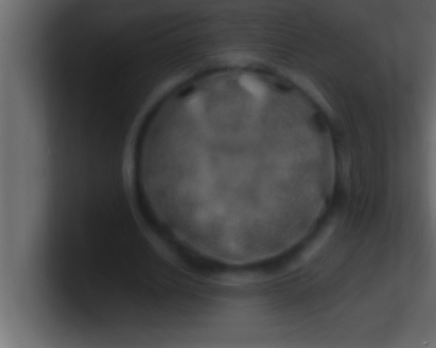 X0000100760630200807031150