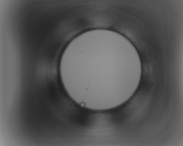 X0000100760632200807031150