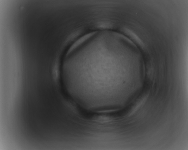 X0000100760635200807031150