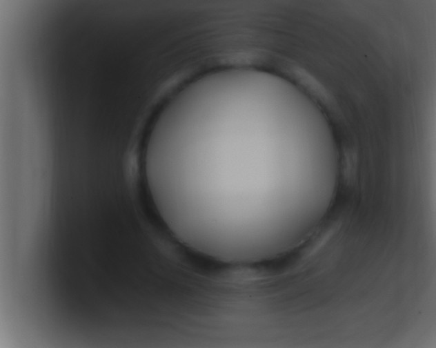 X0000100760636200807031150