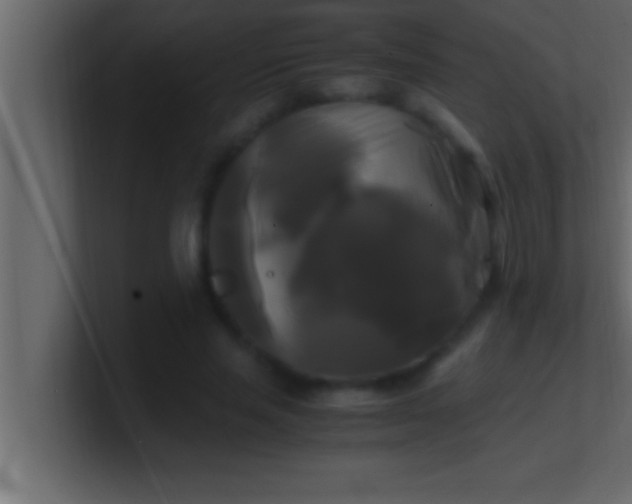 X0000100760637200807031150