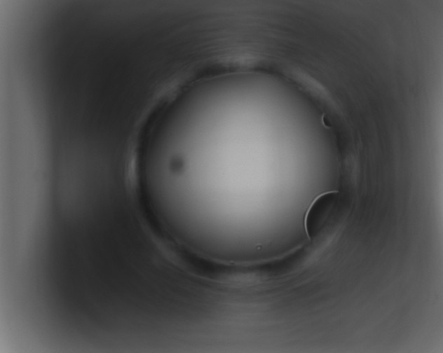 X0000100760638200807031150