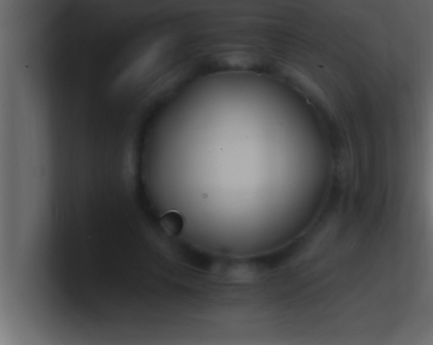 X0000100760639200807031150