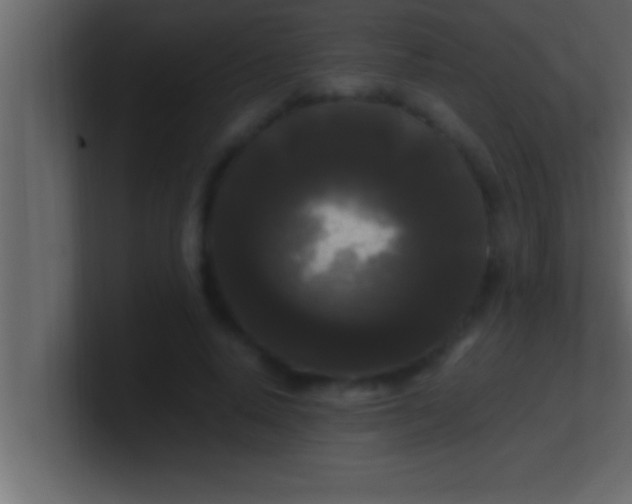 X0000100760640200807031150