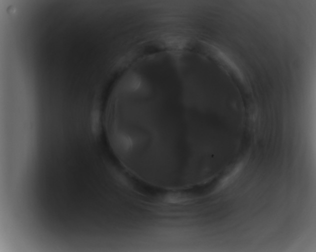 X0000100760641200807031150