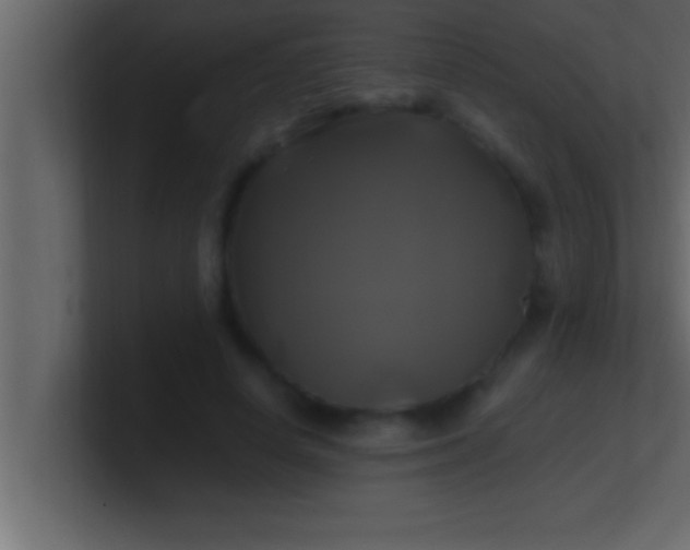 X0000100760642200807031150