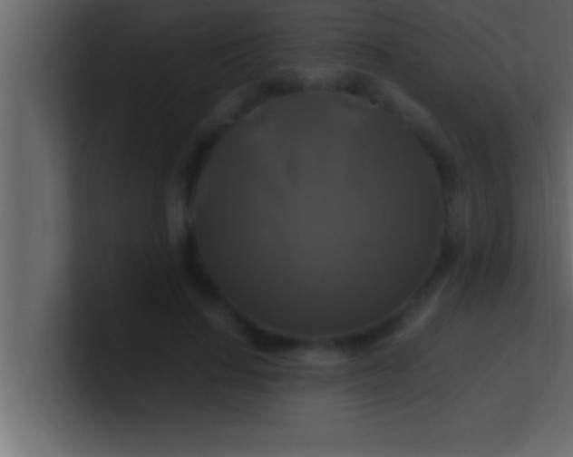 X0000100760644200807031150