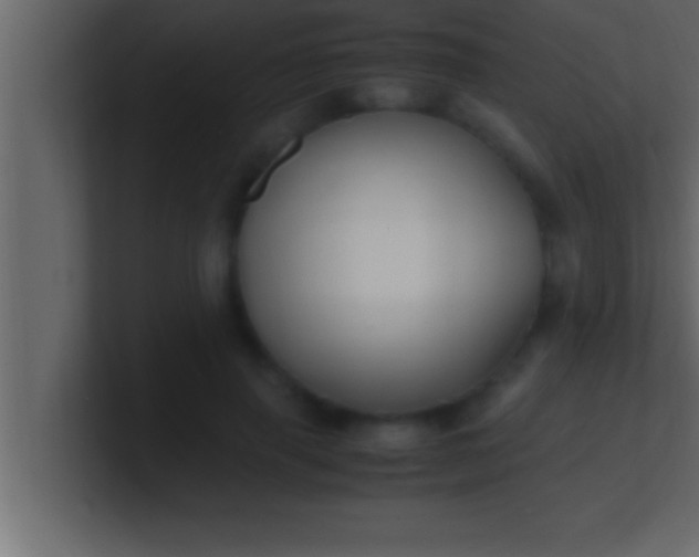 X0000100760645200807031150