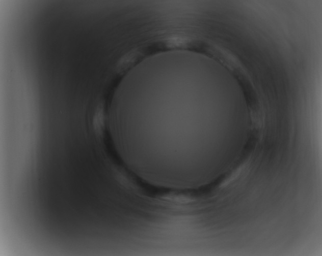 X0000100760648200807031151