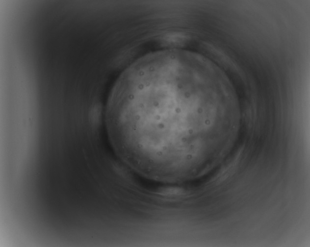 X0000100760649200807031151