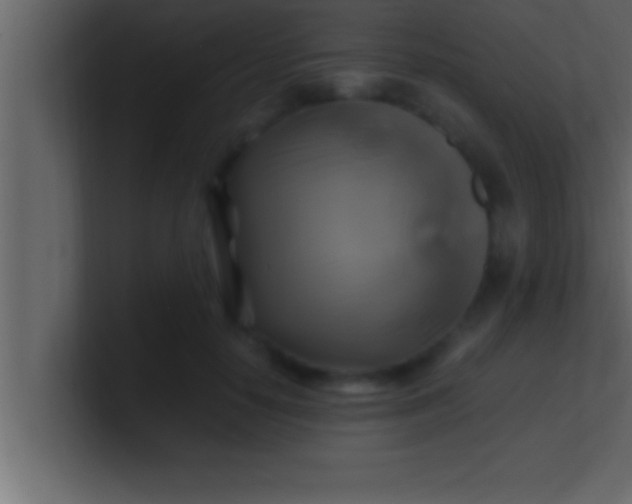 X0000100760650200807031151