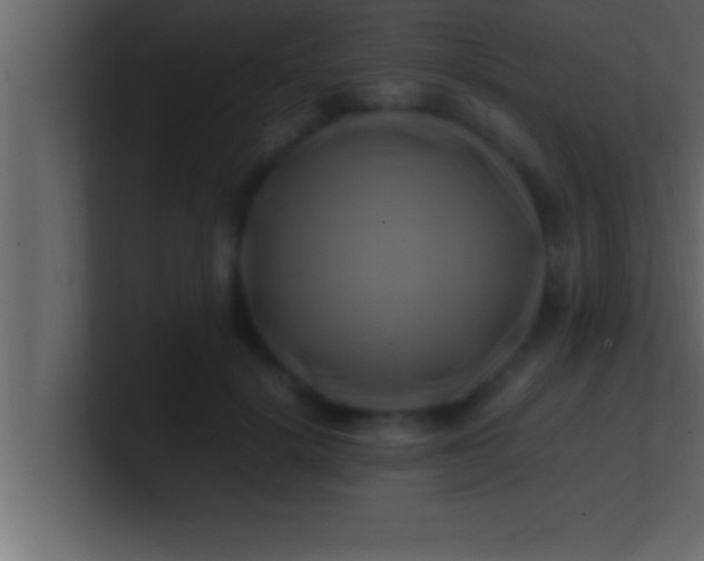 X0000100760652200807031151